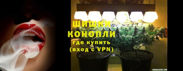 сатива Белокуриха