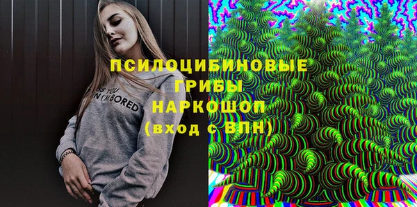 сатива Балабаново