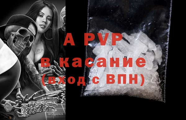сатива Белокуриха
